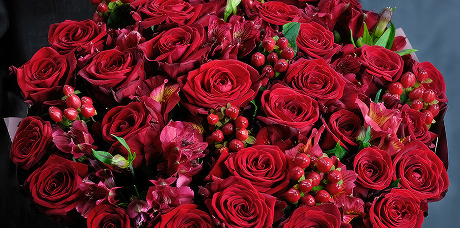 Бахромчатые