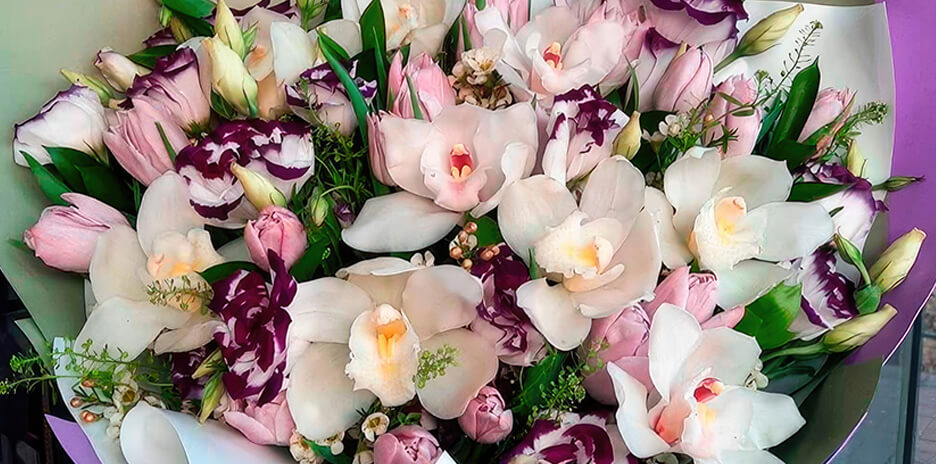 Бахромчатые