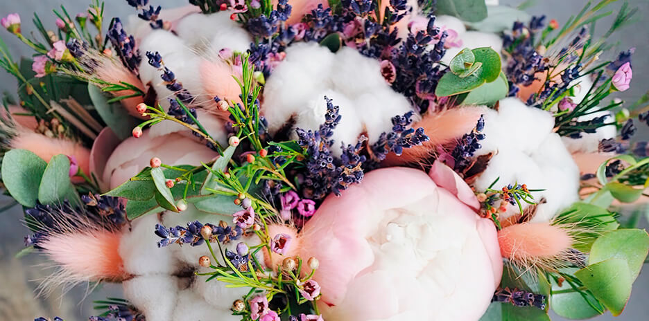 Бахромчатые