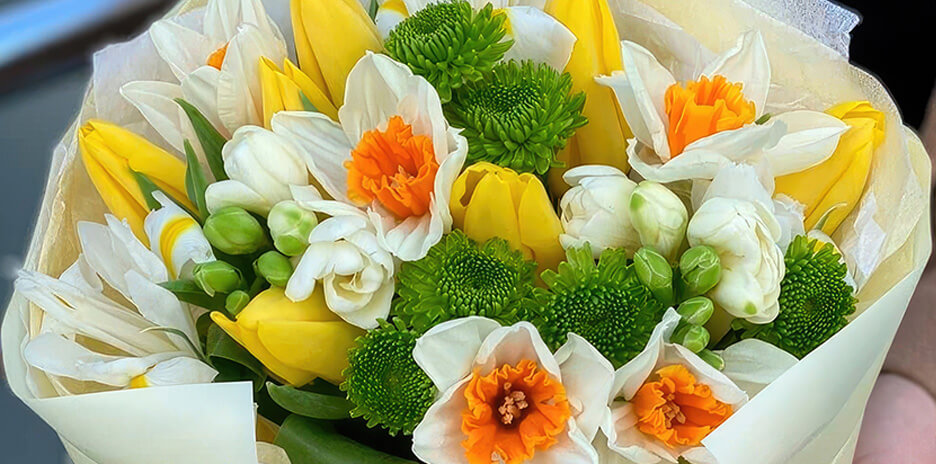 Бахромчатые