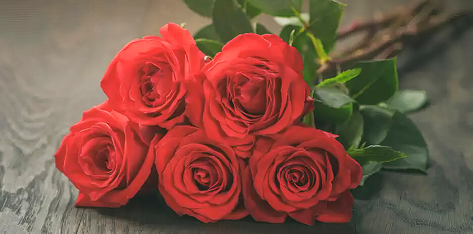 Бахромчатые