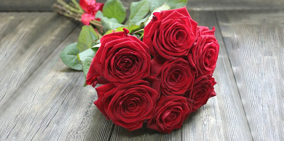 Бахромчатые