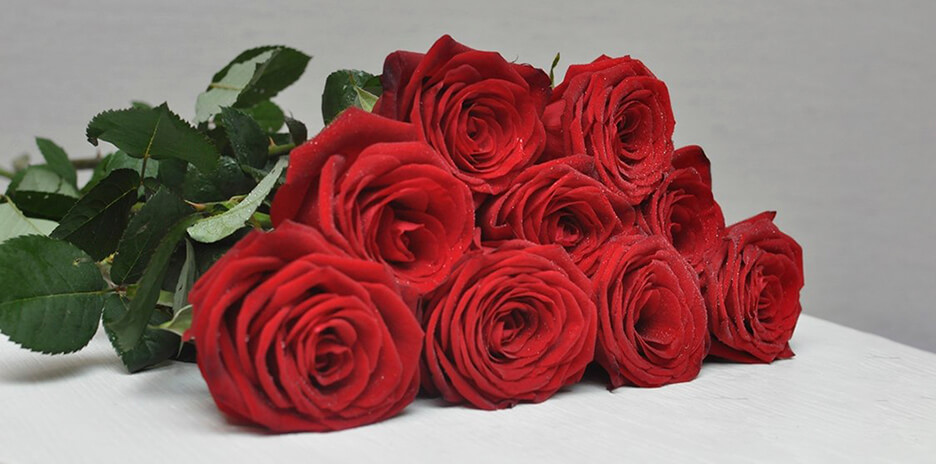 Бахромчатые