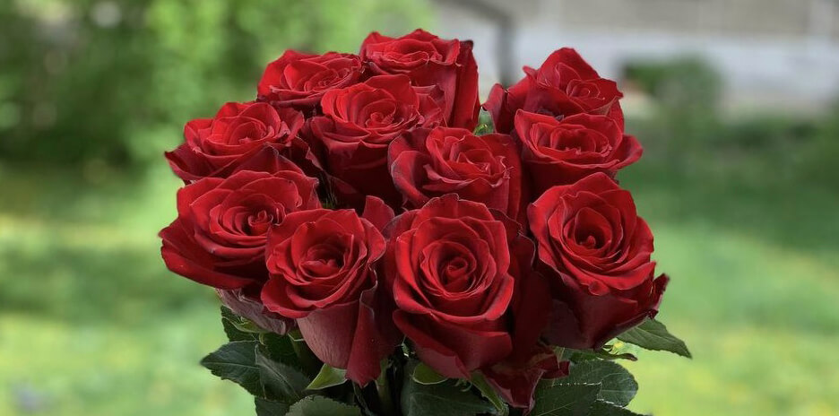 Бахромчатые