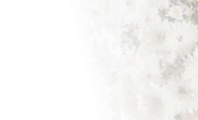 цветы для отелей